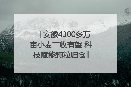 安徽4300多万亩小麦丰收有望 科技赋能颗粒归仓