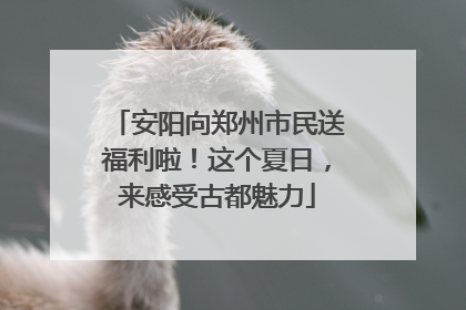安阳向郑州市民送福利啦！这个夏日，来感受古都魅力