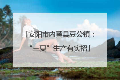 安阳市内黄县豆公镇：“三夏”生产有实招