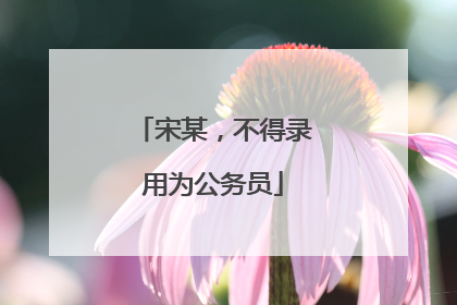 宋某，不得录用为公务员