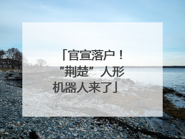 官宣落户！“荆楚”人形机器人来了