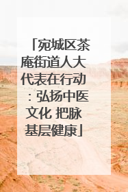 宛城区茶庵街道人大代表在行动：弘扬中医文化 把脉基层健康