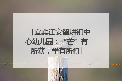 宜宾江安留耕镇中心幼儿园：“芒”有所获，学有所得