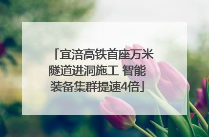 宜涪高铁首座万米隧道进洞施工 智能装备集群提速4倍