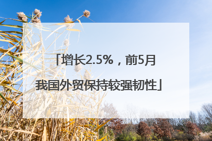 增长2.5%，前5月我国外贸保持较强韧性