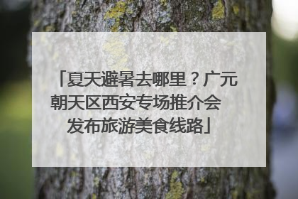 夏天避暑去哪里？广元朝天区西安专场推介会 发布旅游美食线路