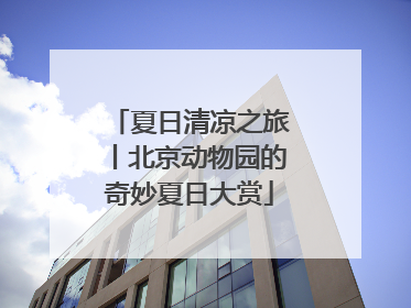 夏日清凉之旅丨北京动物园的奇妙夏日大赏
