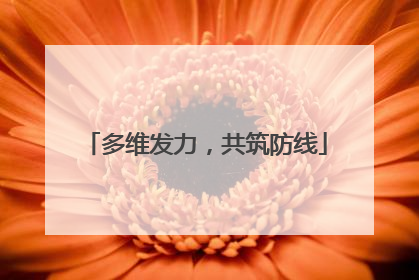多维发力，共筑防线