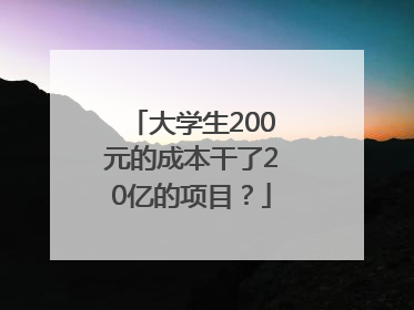 大学生200元的成本干了20亿的项目？
