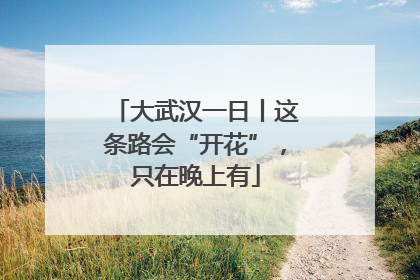 大武汉一日丨这条路会“开花”，只在晚上有
