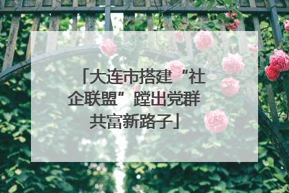 大连市搭建“社企联盟”蹚出党群共富新路子