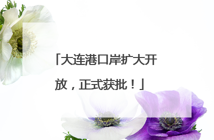 大连港口岸扩大开放，正式获批！