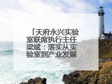 天府永兴实验室联席执行主任梁斌：落实从实验室到产业发展的最后一公里