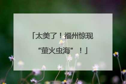 太美了！福州惊现“萤火虫海”！