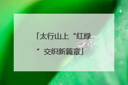 太行山上“红绿”交织新篇章