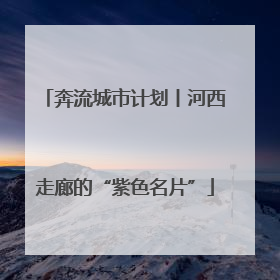 奔流城市计划丨河西走廊的“紫色名片”
