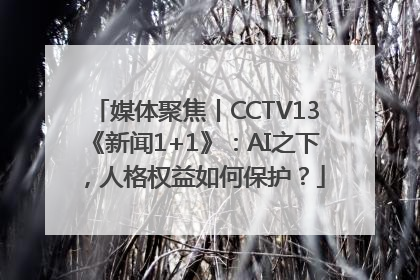 媒体聚焦丨CCTV13《新闻1+1》：AI之下，人格权益如何保护？