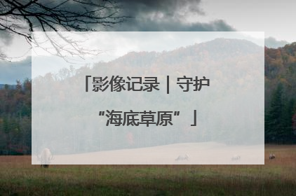 影像记录｜守护“海底草原”
