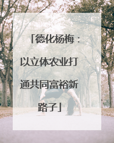 德化杨梅：以立体农业打通共同富裕新路子