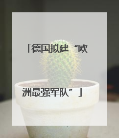 德国拟建“欧洲最强军队”