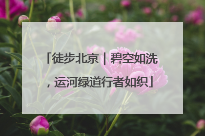 徒步北京｜碧空如洗，运河绿道行者如织