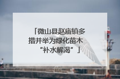 微山县赵庙镇多措并举为绿化苗木“补水解渴”