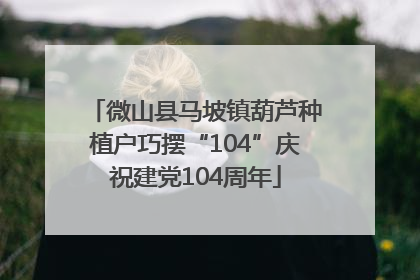 微山县马坡镇葫芦种植户巧摆“104”庆祝建党104周年