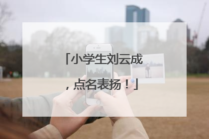 小学生刘云成，点名表扬！
