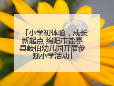 小学初体验，成长新起点 绵阳市盐亭县岐伯幼儿园开展参观小学活动