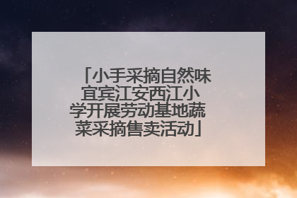 小手采摘自然味 宜宾江安西江小学开展劳动基地蔬菜采摘售卖活动