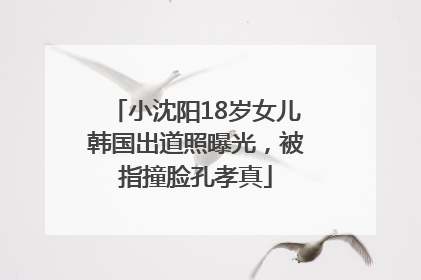 小沈阳18岁女儿韩国出道照曝光，被指撞脸孔孝真