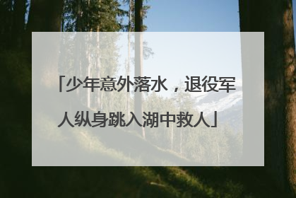 少年意外落水，退役军人纵身跳入湖中救人