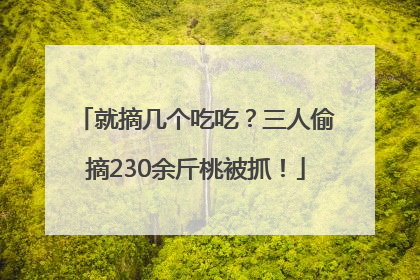 就摘几个吃吃？三人偷摘230余斤桃被抓！
