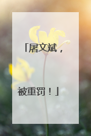 屠文斌，被重罚！