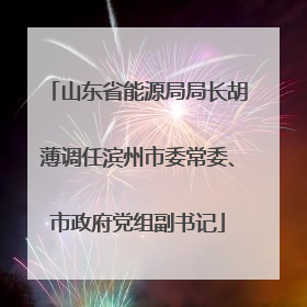 山东省能源局局长胡薄调任滨州市委常委、市政府党组副书记
