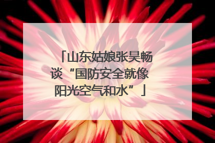 山东姑娘张昊畅谈“国防安全就像阳光空气和水”