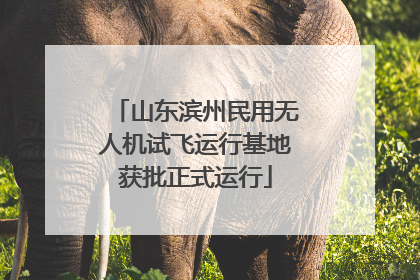 山东滨州民用无人机试飞运行基地获批正式运行