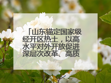山东锚定国家级经开区热土，以高水平对外开放促进深层次改革、高质量发展