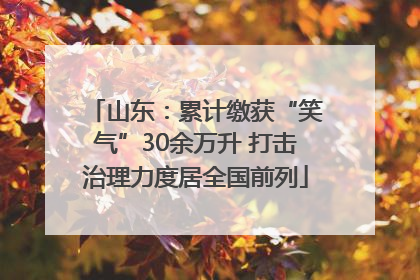 山东：累计缴获“笑气”30余万升 打击治理力度居全国前列
