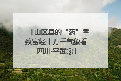 山区县的“药”香致富经丨万千气象看四川·平武③