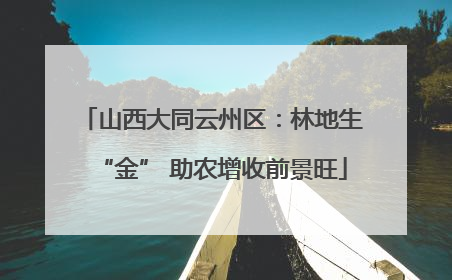 山西大同云州区：林地生“金” 助农增收前景旺
