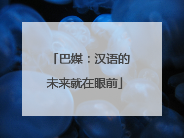 巴媒：汉语的未来就在眼前