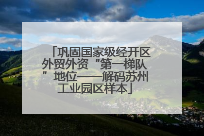 巩固国家级经开区外贸外资“第一梯队”地位——解码苏州工业园区样本