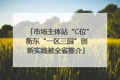 市场主体站“C位” 衡东“一区三园”创新实践被全省推介