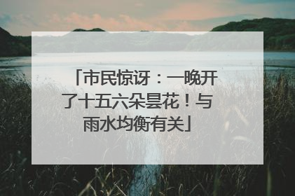 市民惊讶：一晚开了十五六朵昙花！与雨水均衡有关