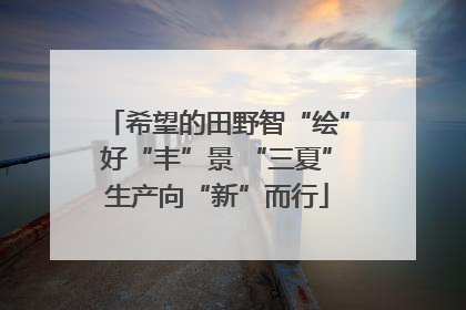 希望的田野智“绘”好“丰”景 “三夏”生产向“新”而行
