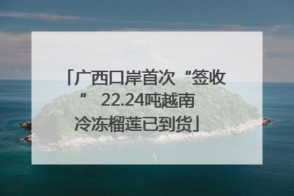 广西口岸首次“签收” 22.24吨越南冷冻榴莲已到货