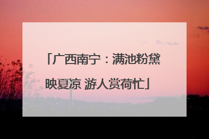 广西南宁：满池粉黛映夏凉 游人赏荷忙