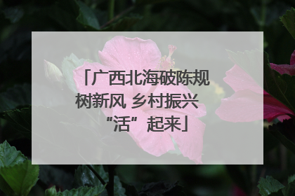 广西北海破陈规树新风 乡村振兴“活”起来