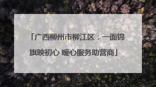 广西柳州市柳江区：一面锦旗映初心 暖心服务助营商